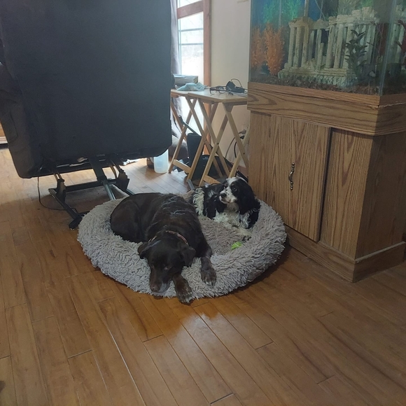 Meet your Posher, Paul - Picture 1 of 1